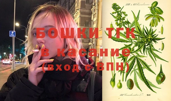 СК Волосово