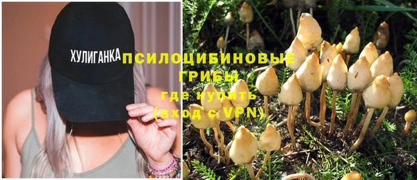 дурь Волоколамск