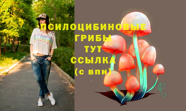 дурь Волоколамск
